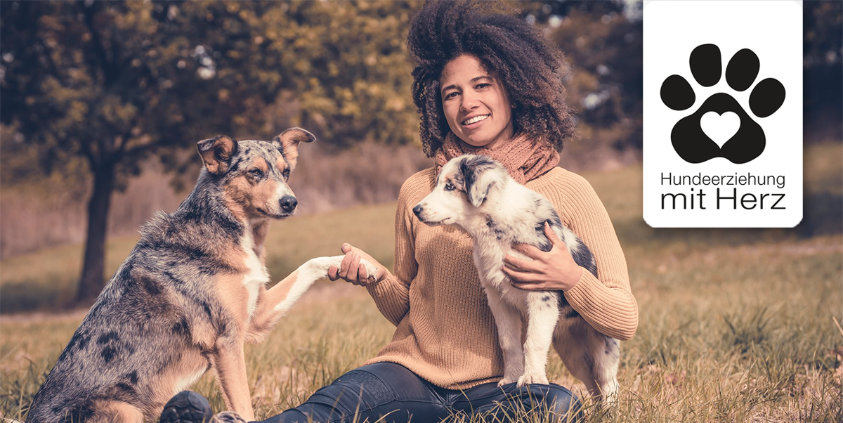 Home Hundeerziehung mit Herz Desiree Höck Hundeschule Zirndorf
