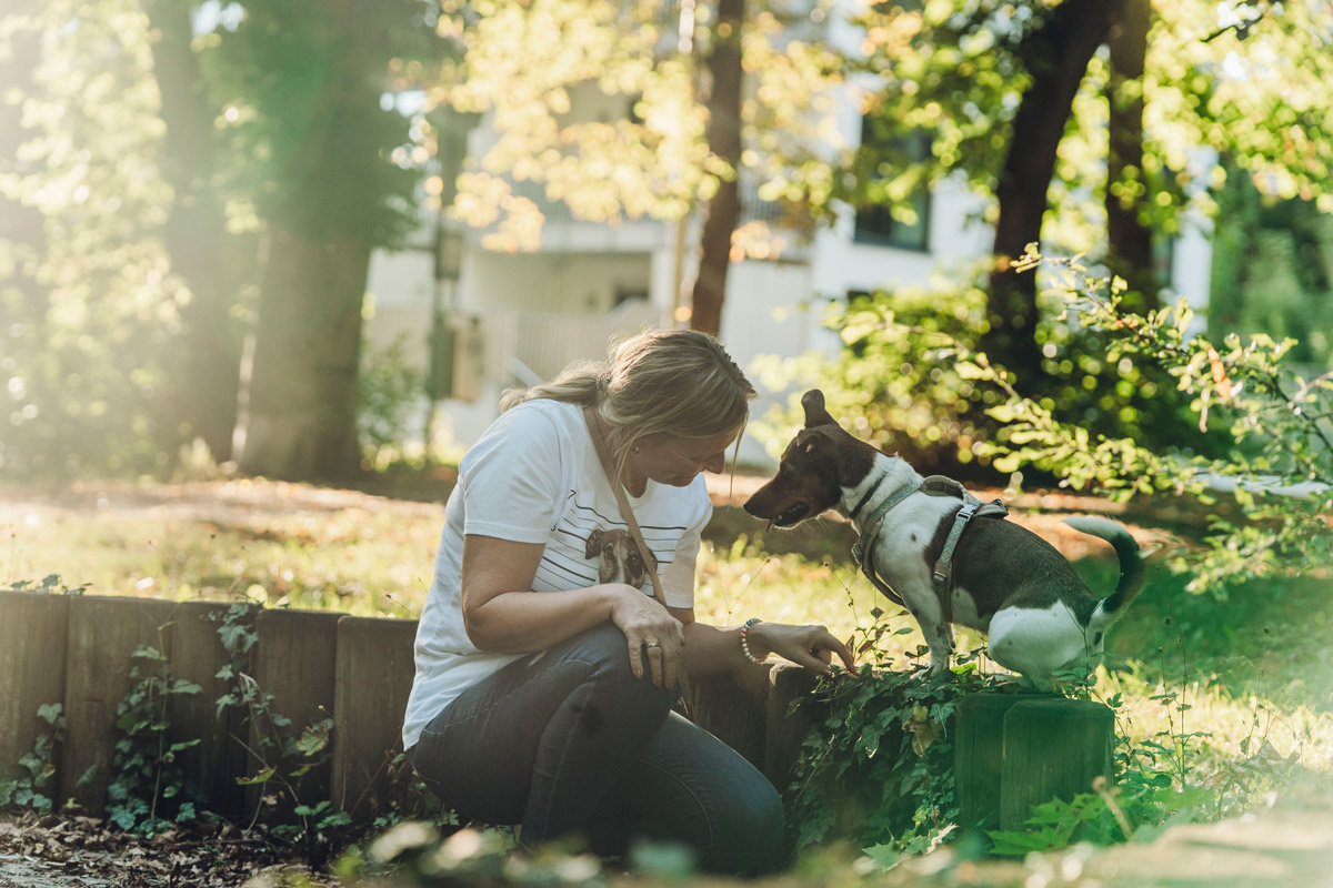 Tiergestützte Arbeit mit Hund in Nürnberg