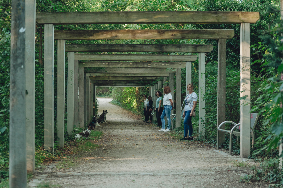 Hundeschule mit Hundebesitzern und Hunden beim Training mit Persönlichkeitsentwicklung