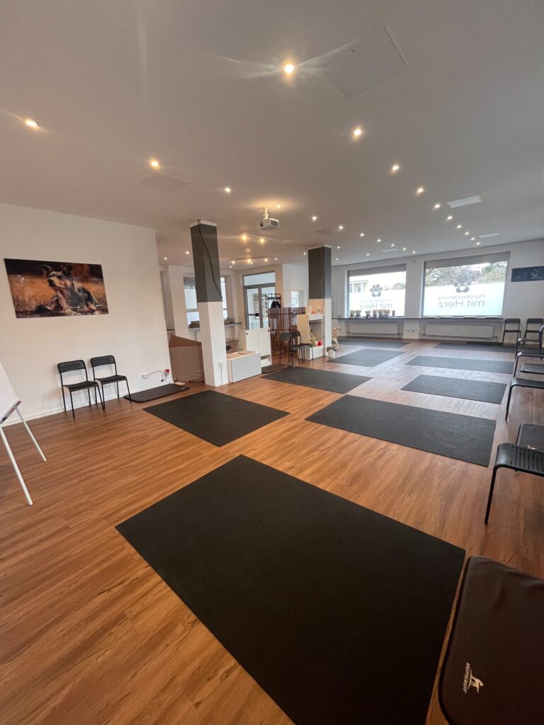 Trainingsbereich und Aufenthaltsraum der Hundeschule und Hundepension in Nürnberg-Röthenbach von Hundeerziehung mit Herz
